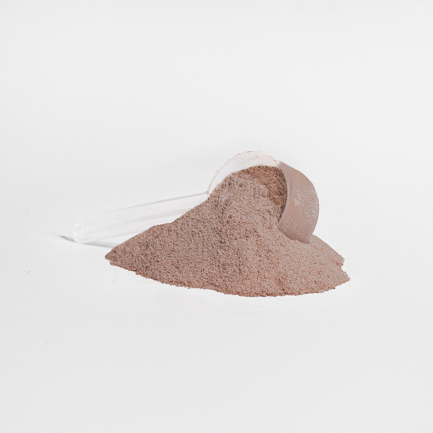 Whey Protein Isolate (Mississippi Mud)